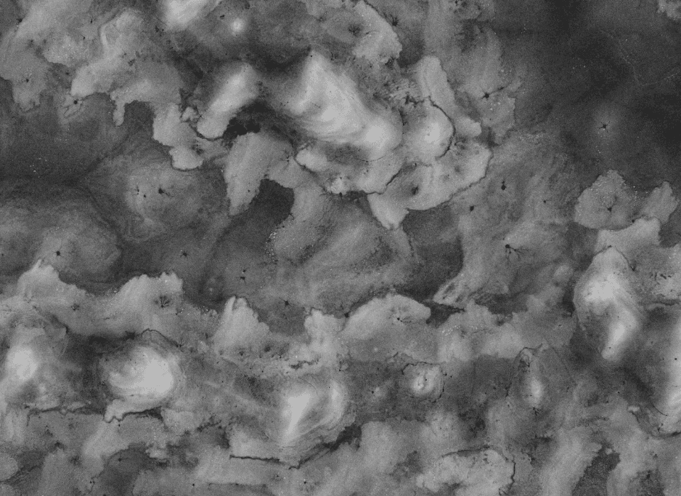 Banner Content Background