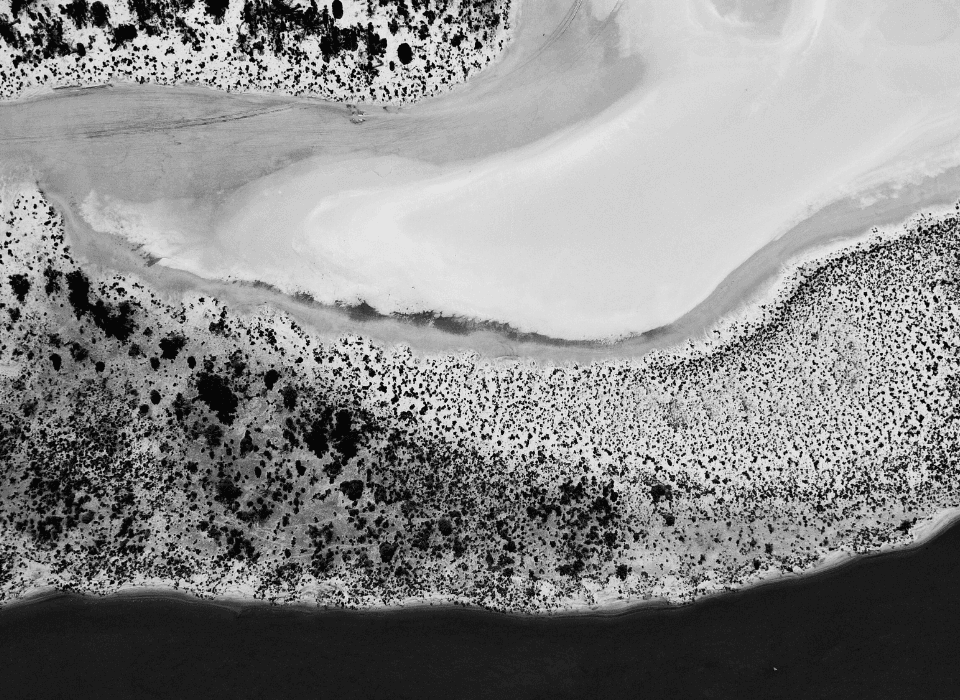 Banner Content Background